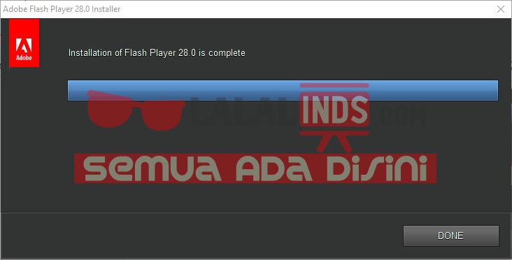 Adobe flash player installer exe